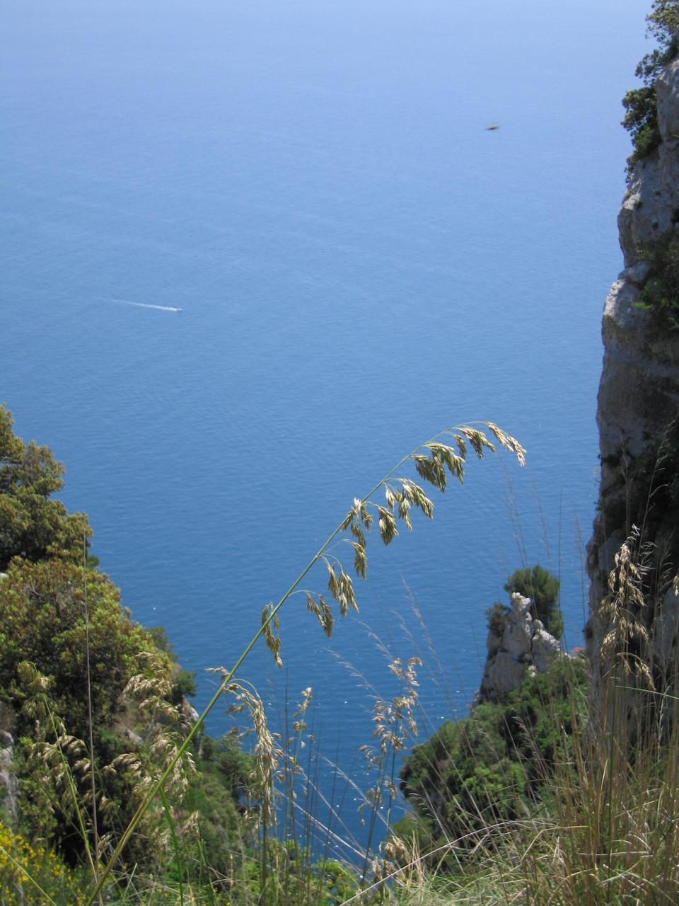 img_3250.jpg