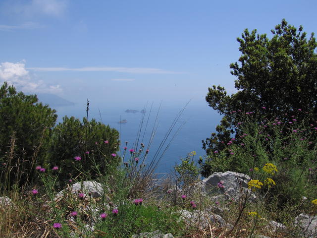 img_3251.jpg