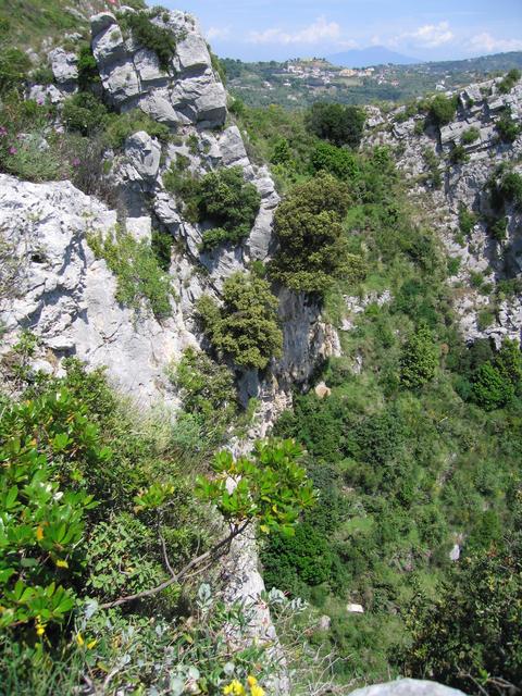 img_3254.jpg