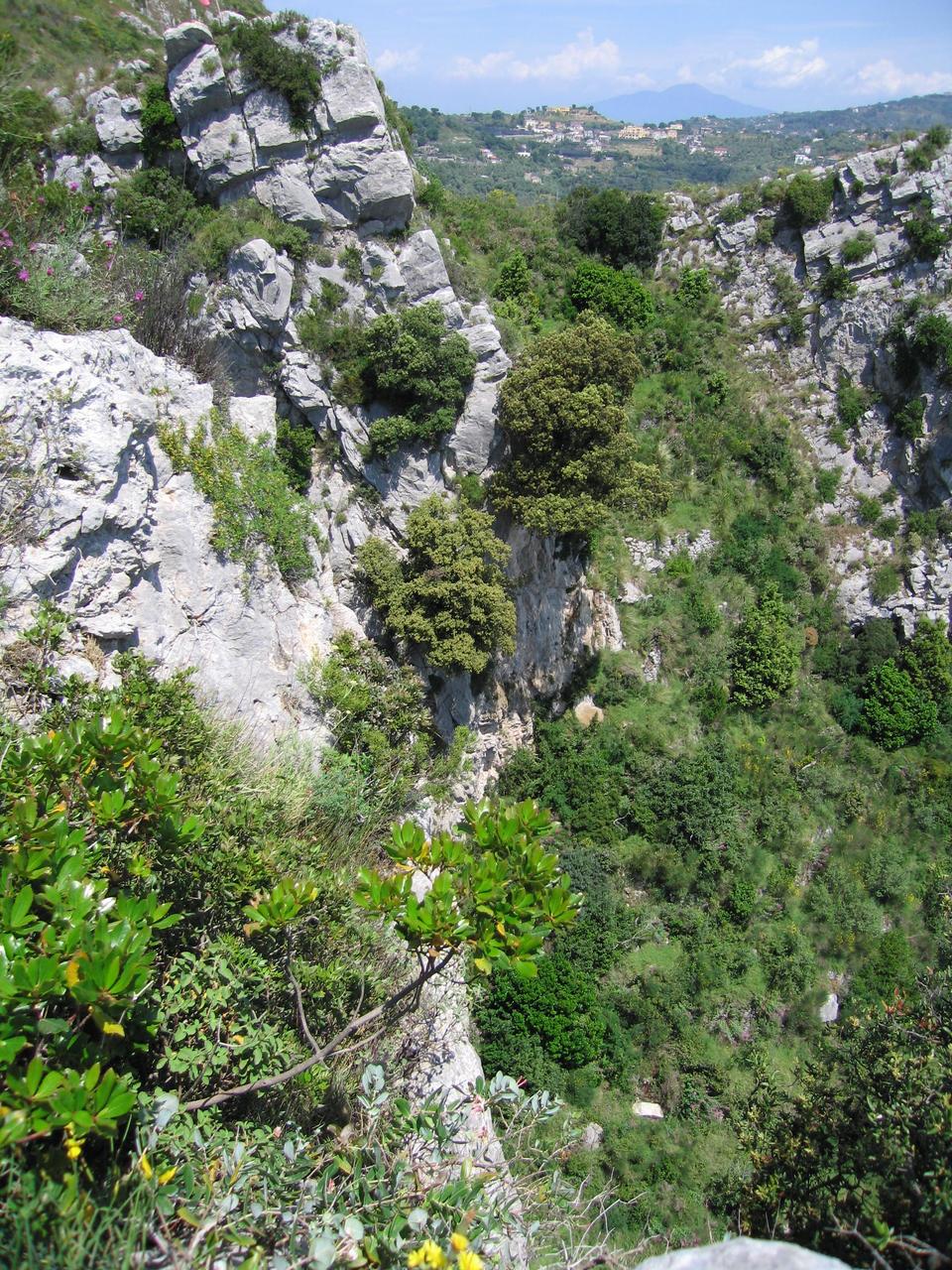 img_3254.jpg