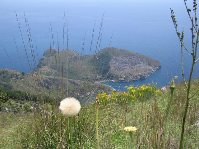 img_3262.jpg