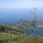 img_3263.jpg