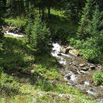 dsc00159.jpg