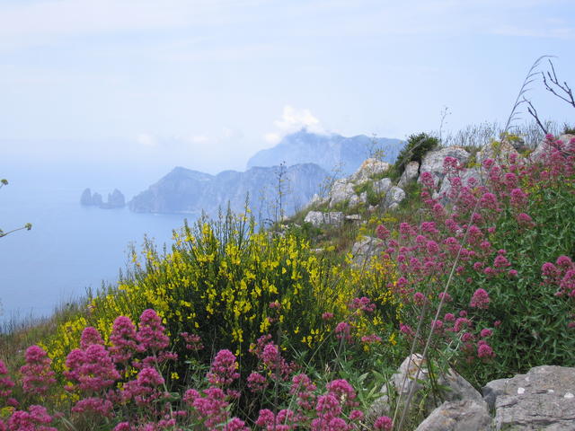 img_3264.jpg