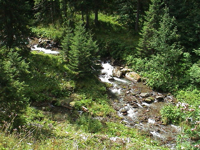 dsc00159.jpg