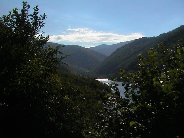 dsc00211.jpg