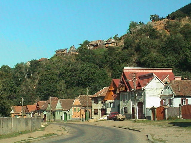dsc00217.jpg