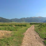 dsc00231.jpg
