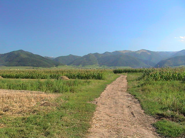 dsc00231.jpg