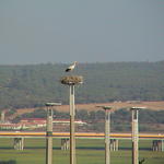 dsc00038.jpg