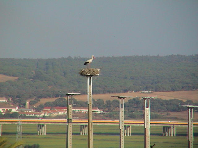 dsc00038.jpg