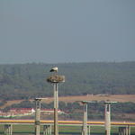 dsc00039.jpg