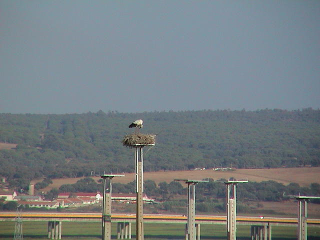 dsc00039.jpg