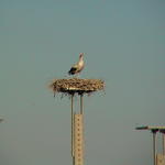 dsc00040.jpg