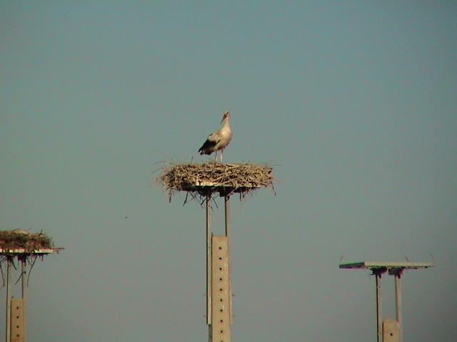 dsc00040.jpg