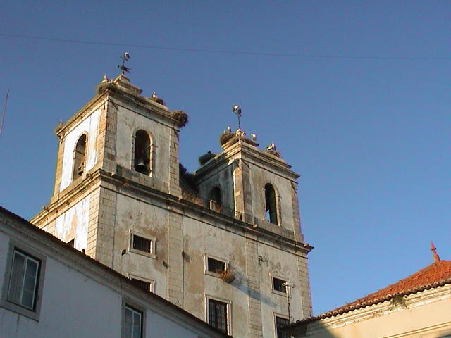 dsc00047.jpg