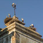 dsc00048.jpg