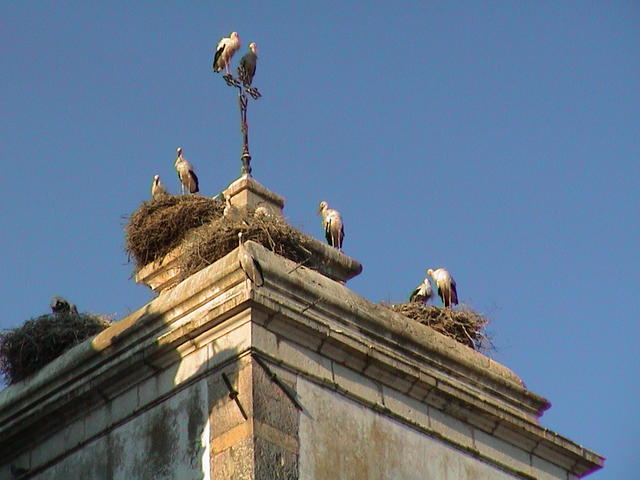 dsc00048.jpg