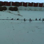 dsc00053.jpg