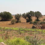 dsc00062.jpg