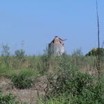 dsc00063.jpg