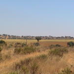 dsc00067.jpg