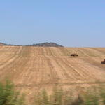 dsc00069.jpg