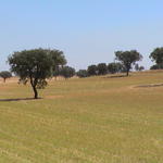 dsc00070.jpg