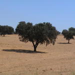 dsc00071.jpg