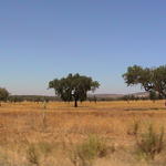 dsc00072.jpg