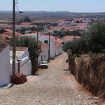 dsc00079.jpg