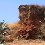 dsc00080.jpg