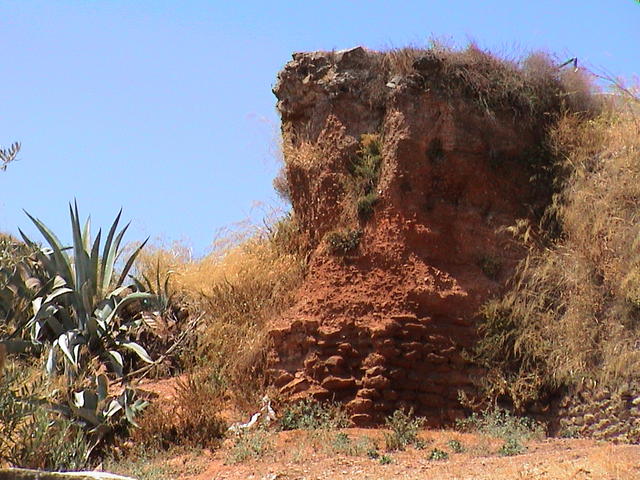dsc00080.jpg