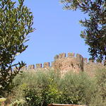 dsc00081.jpg