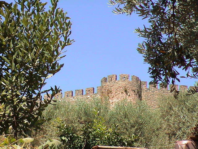 dsc00081.jpg