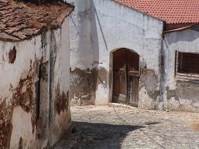 dsc00082.jpg