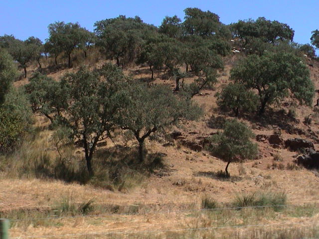 dsc00086.jpg