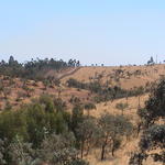 dsc00092.jpg