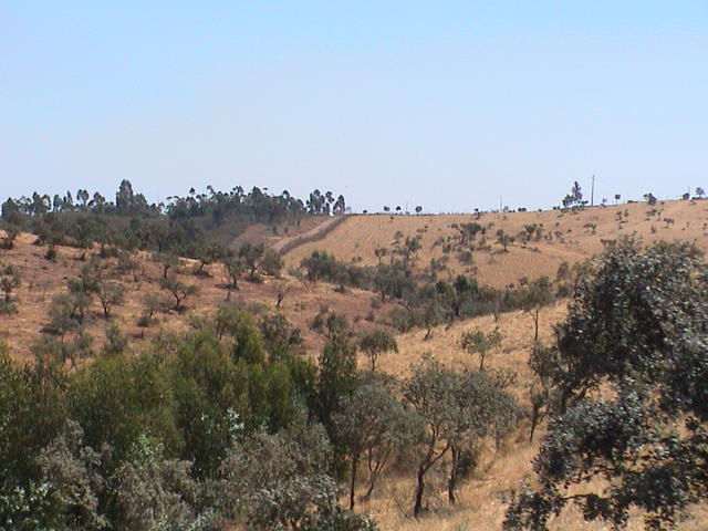 dsc00092.jpg