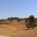 dsc00095.jpg