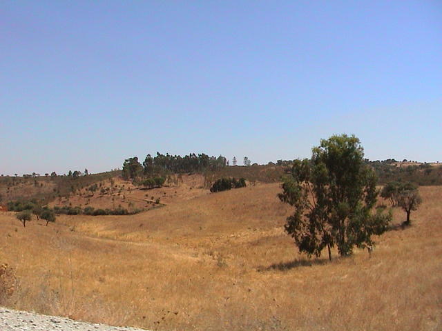 dsc00095.jpg