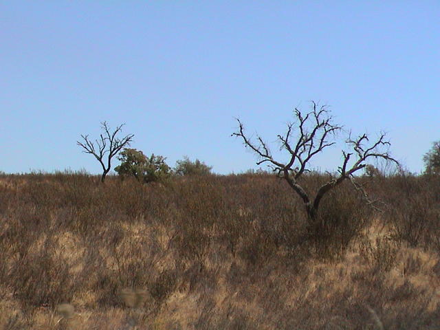 dsc00096.jpg