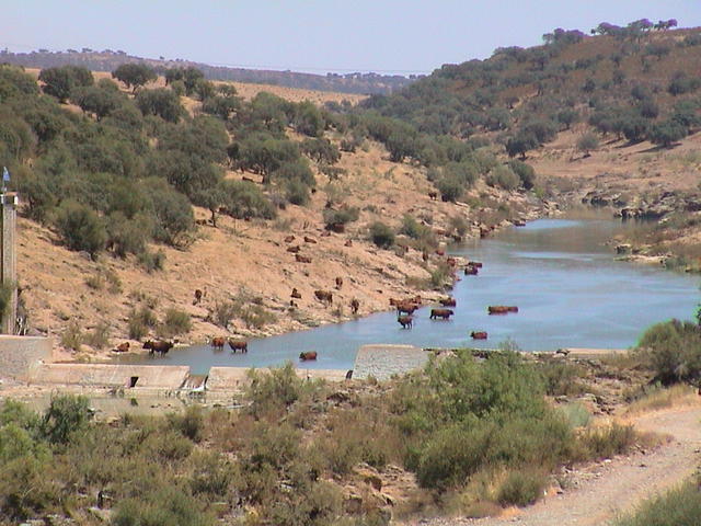 dsc00102.jpg