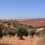 dsc00106.jpg