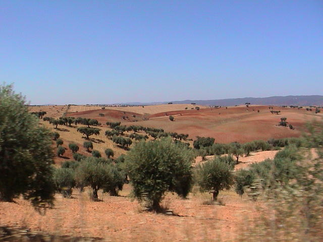 dsc00106.jpg