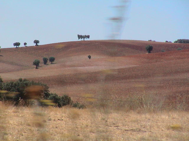 dsc00108.jpg