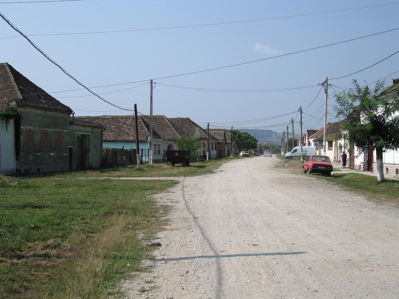 IMG_3525.JPG