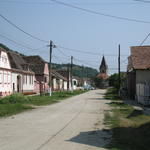 IMG_3529.JPG