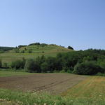 IMG_3530.JPG