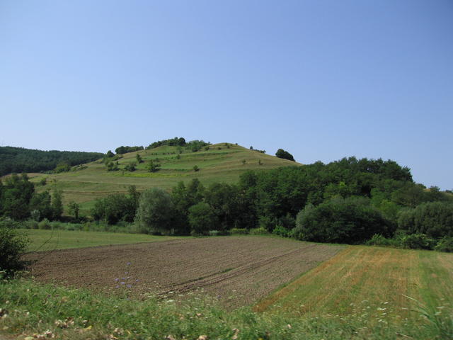IMG_3530.JPG